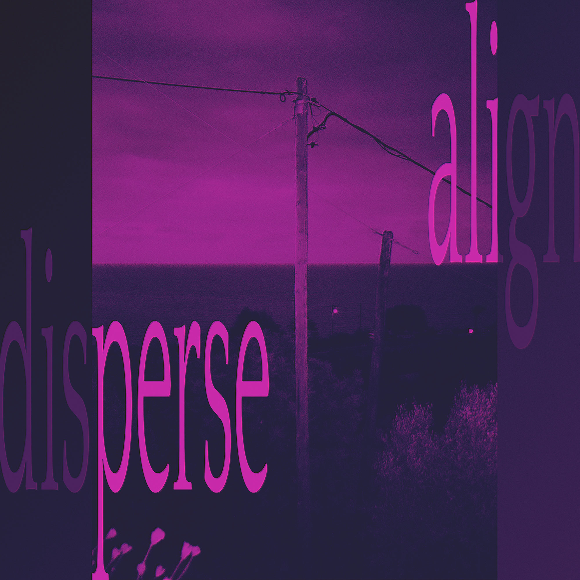 ALIGN / DISPERSE Song